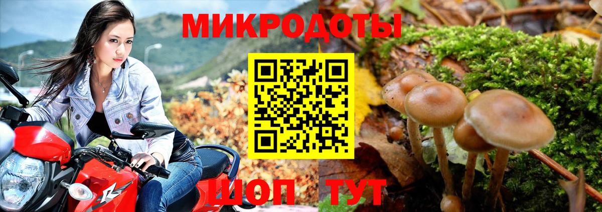 Галлюциногенные грибы GOLDEN TEACHER Похвистнево